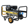 Generador con Motor VANGUARD 9000 Monofásico