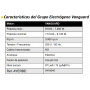 GENERADOR A GASOLINA VANGUARD 9000 V MONOFASICO ELECTRICO