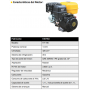 GENERADOR GASOLINA AYERBE LX5500
