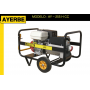 GRUPOS ELECTRÓGENOS Y MOTOSOLDADURAS - AYERBE 255 H – CC