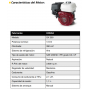 GRUPOS ELECTRÓGENOS Y MOTOSOLDADURAS - AYERBE 255 H – CC