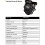 GRUPOS ELECTROGENOS 3000 r.p.m. GASOLINA - AYERBE 24000- TX AVR E