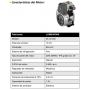 GRUPOS ELECTRÓGENOS Y MOTOSOLDADURAS - AYERBE 300 DC