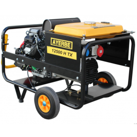 GRUPOS ELECTROGENOS 3000 r.p.m. GASOLINA - AYERBE – 12500 TX AVR E