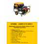 GRUPOS ELECTROGENOS 3000 r.p.m. GASOLINA - AYERBE – 15000 H TX AVR E
