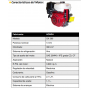 GRUPOS ELECTROGENOS 3000 r.p.m. GASOLINA - AYERBE 8000 H INS E