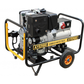 GENERADOR DIESEL AYERBE 12500 HATZ TX ARRANQUE ELECTRICO