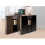 ESTUFA DE PELLETS PHOENIX GLASS 12 DE FERLUX