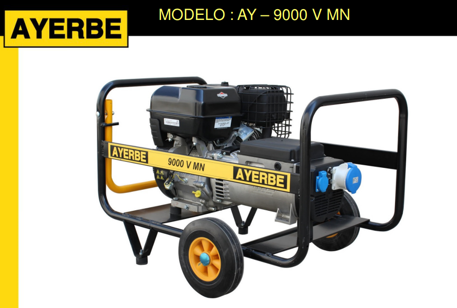 Generador con Motor VANGUARD 9000 Monofásico - Imagen 2