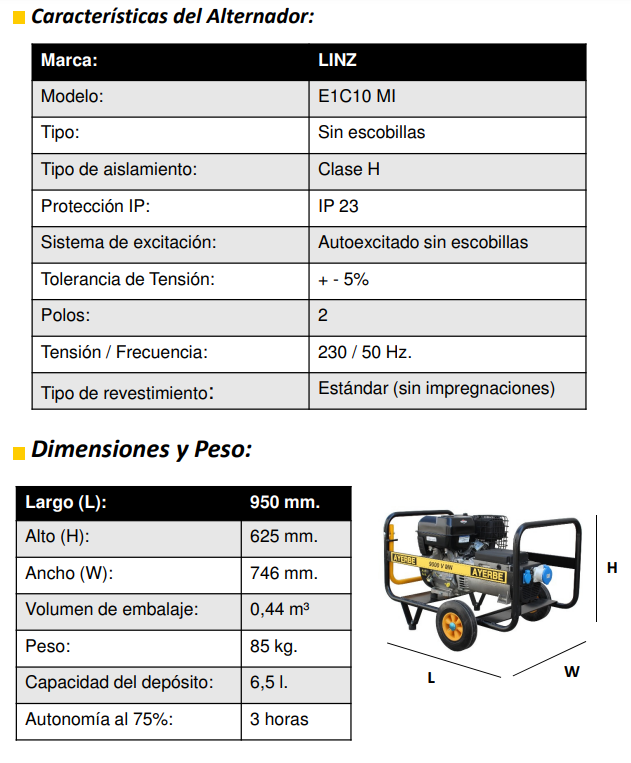 Generador con Motor VANGUARD 9000 Monofásico - Imagen 6