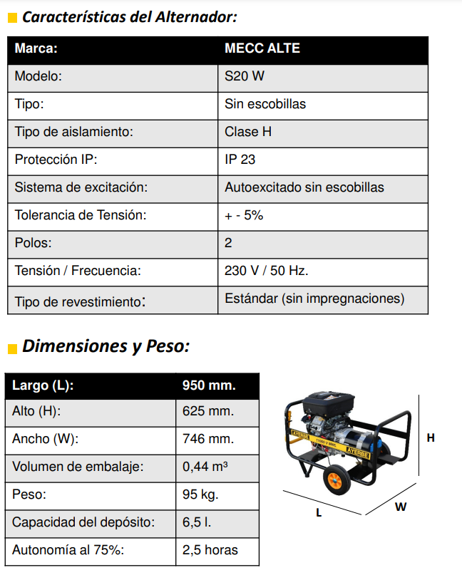 GENERADOR GASOLINA AYERBE 11000 V MN ARRANQUE ELECTRICO - Imagen 6