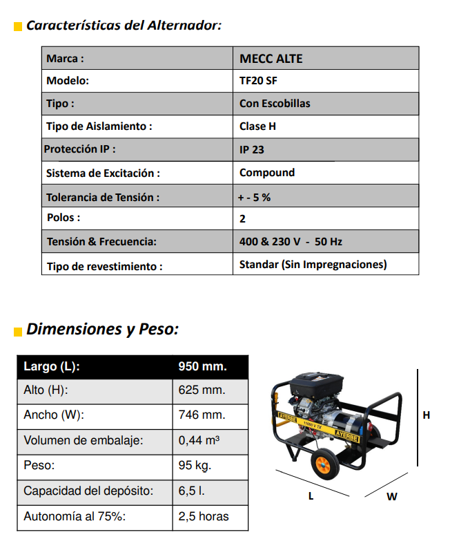 GENERADOR GASOLINA AYERBE 11000 V TX - Imagen 5