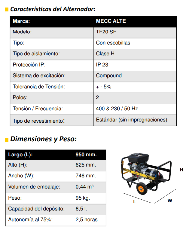 GENERADOR GASOLINA AYERBE 11000 V TX ARRANQUE ELECTRICO - Imagen 6