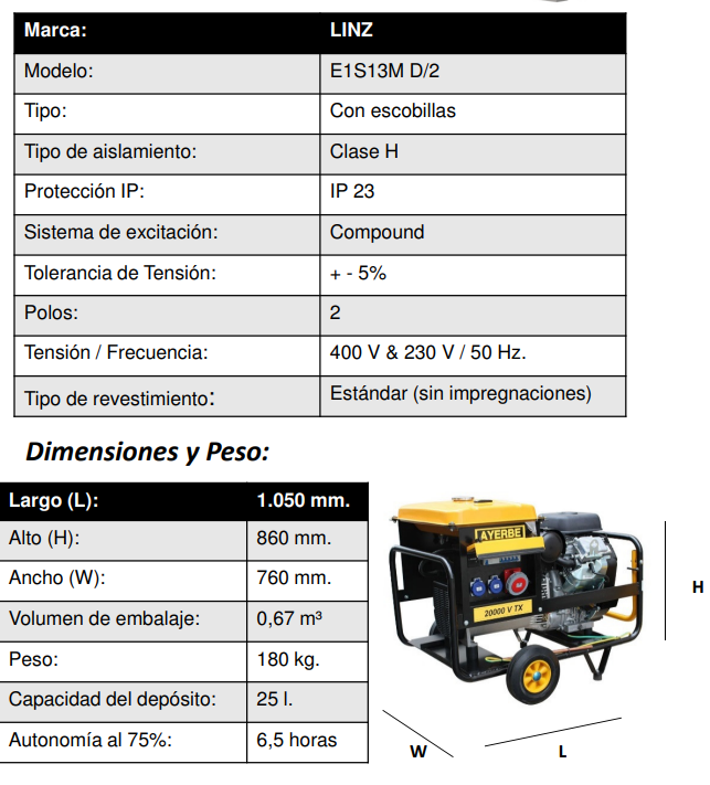 GENERADOR GASOLINA AYERBE 20000 V TX ARRANQUE ELECTRICO - Imagen 5