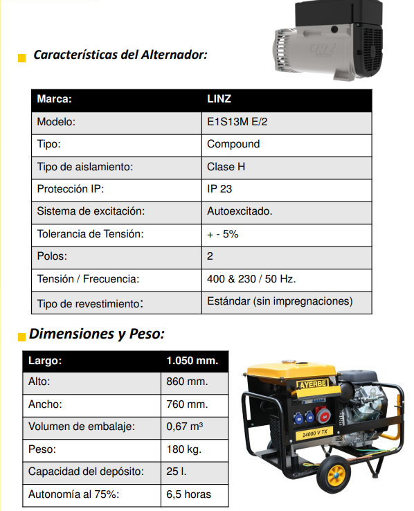 GENERADOR GASOLINA AYERBE 24000 V TX ARRANQUE ELECTRICO - Imagen 5