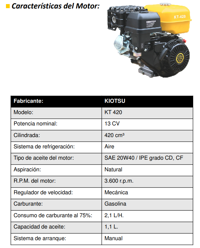 MOTOSOLDADURA GASOLINA AYERBE 245 KT CC - Imagen 5