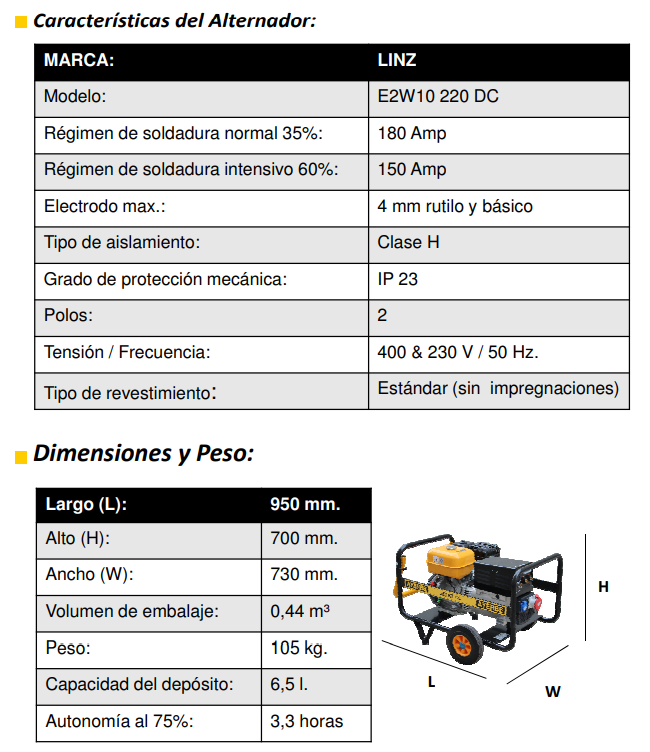 MOTOSOLDADURA GASOLINA 255 KT CC - Imagen 6