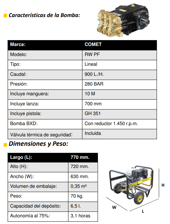 HIDROLIMPIADORA AYERBE 300 H MOTOR HONDA RW PF - Imagen 5