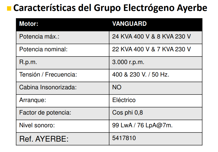GRUPOS ELECTROGENOS 3000 r.p.m. GASOLINA - AYERBE 24000- TX AVR E - Imagen 2