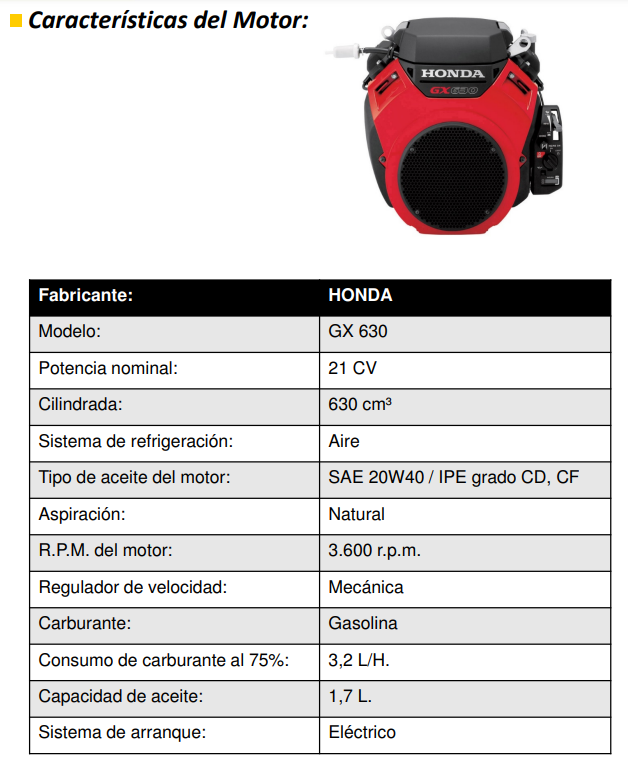 GRUPOS ELECTROGENOS 3000 r.p.m. GASOLINA - AYERBE – 12500 TX AVR E - Imagen 4