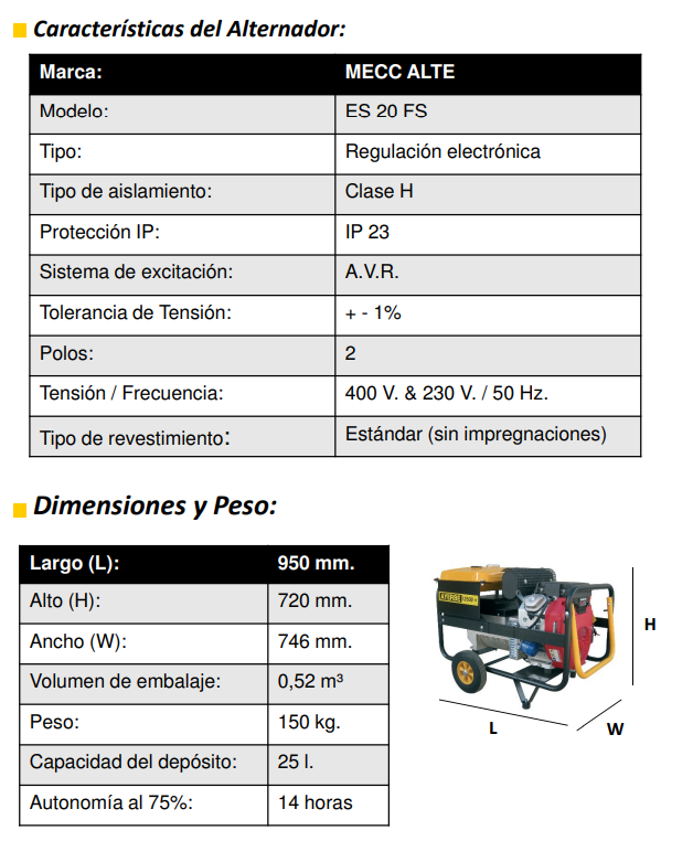 GRUPOS ELECTROGENOS 3000 r.p.m. GASOLINA - AYERBE – 12500 TX AVR E - Imagen 5
