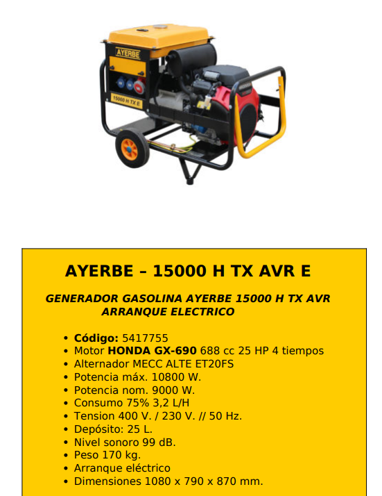 GRUPOS ELECTROGENOS 3000 r.p.m. GASOLINA - AYERBE – 15000 H TX AVR E - Imagen 2