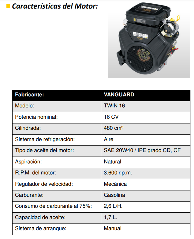 GRUPOS ELECTROGENOS 3000 r.p.m. GASOLINA - AYERBE 11000 V MN AVR - Imagen 4