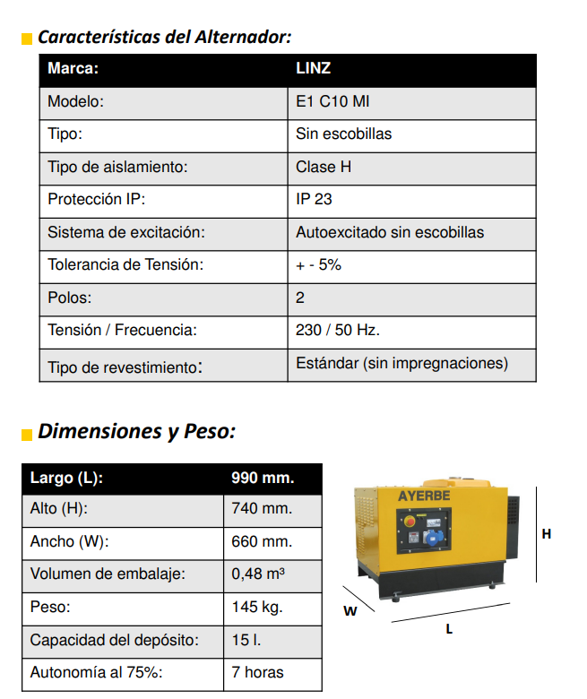 GRUPOS ELECTROGENOS 3000 r.p.m. GASOLINA - AYERBE 8000 H INS E - Imagen 5