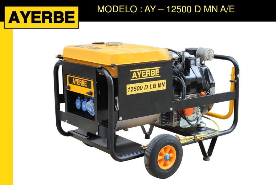 GRUPOS ELECTROGENOS 3000 R.P.M. DIESEL - AYERBE 12500 D LB MN E - Imagen 2